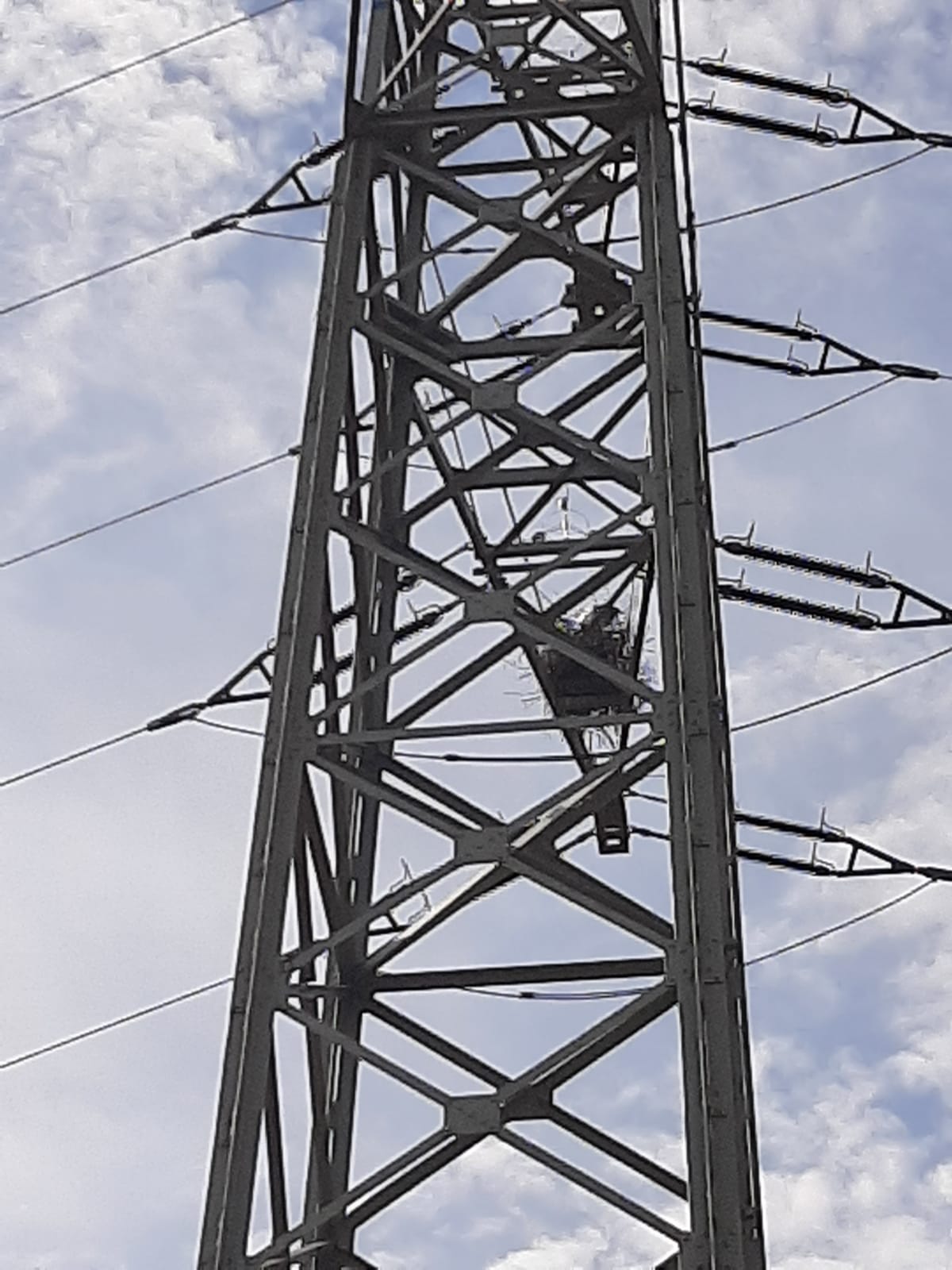 Storchennester im Fokus: Chancen für nachhaltige Lösungen in der Region Bad Kreuznach