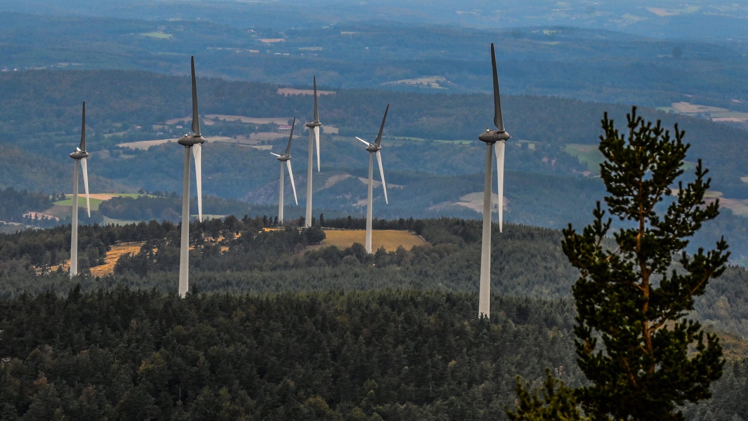 Kritik am Zeitplan des Windparks Zollstock: Hoffnungen ruhen auf dem Kreisrechtsausschuss