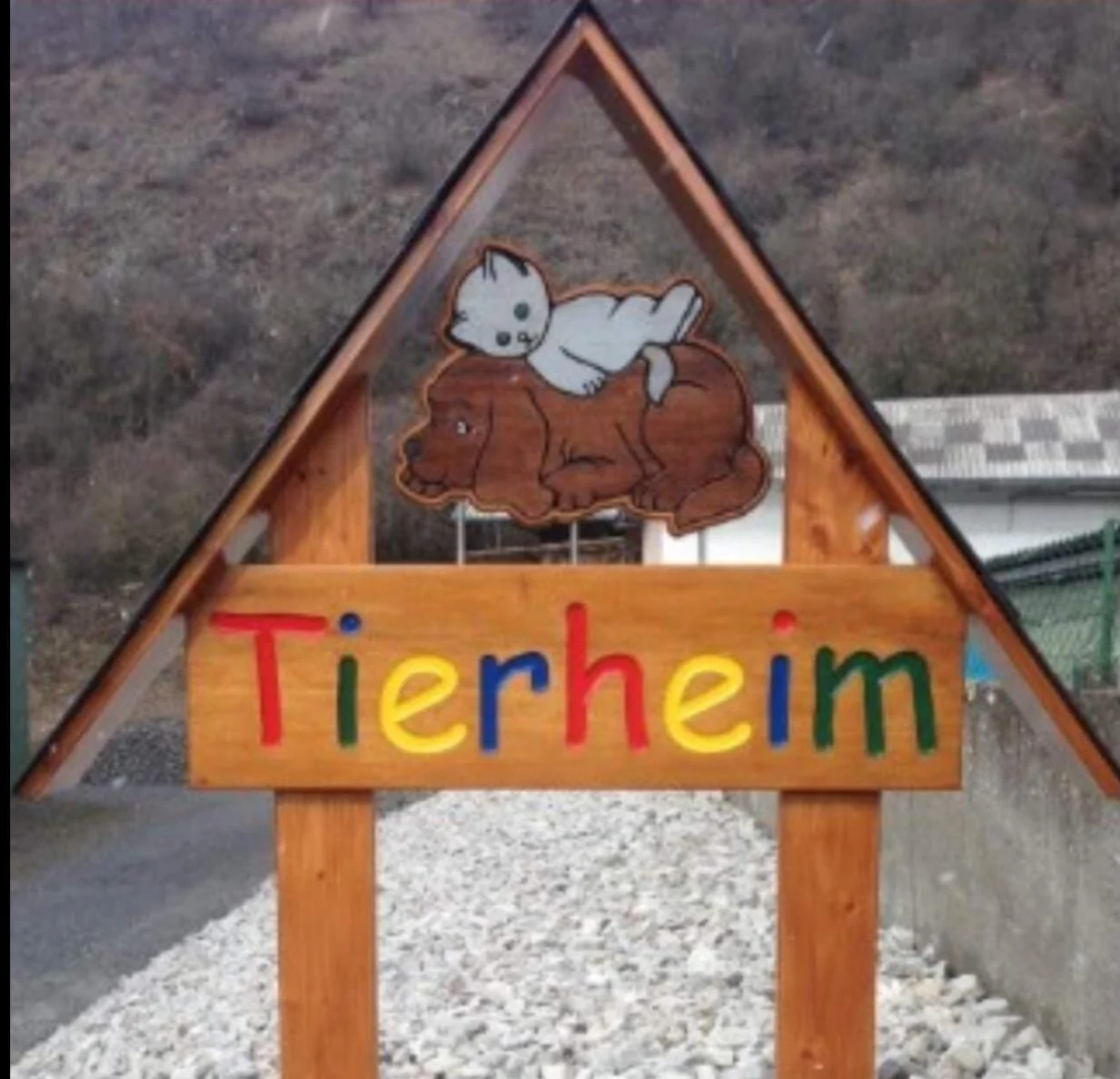 Kirner Tierschutzverein startet in die Zukunft: Neues Gebäude für Tiere in Not!